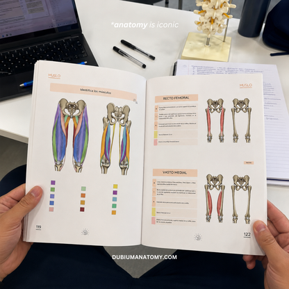 Libro de Anatomía del Sistema Musculoesquelético