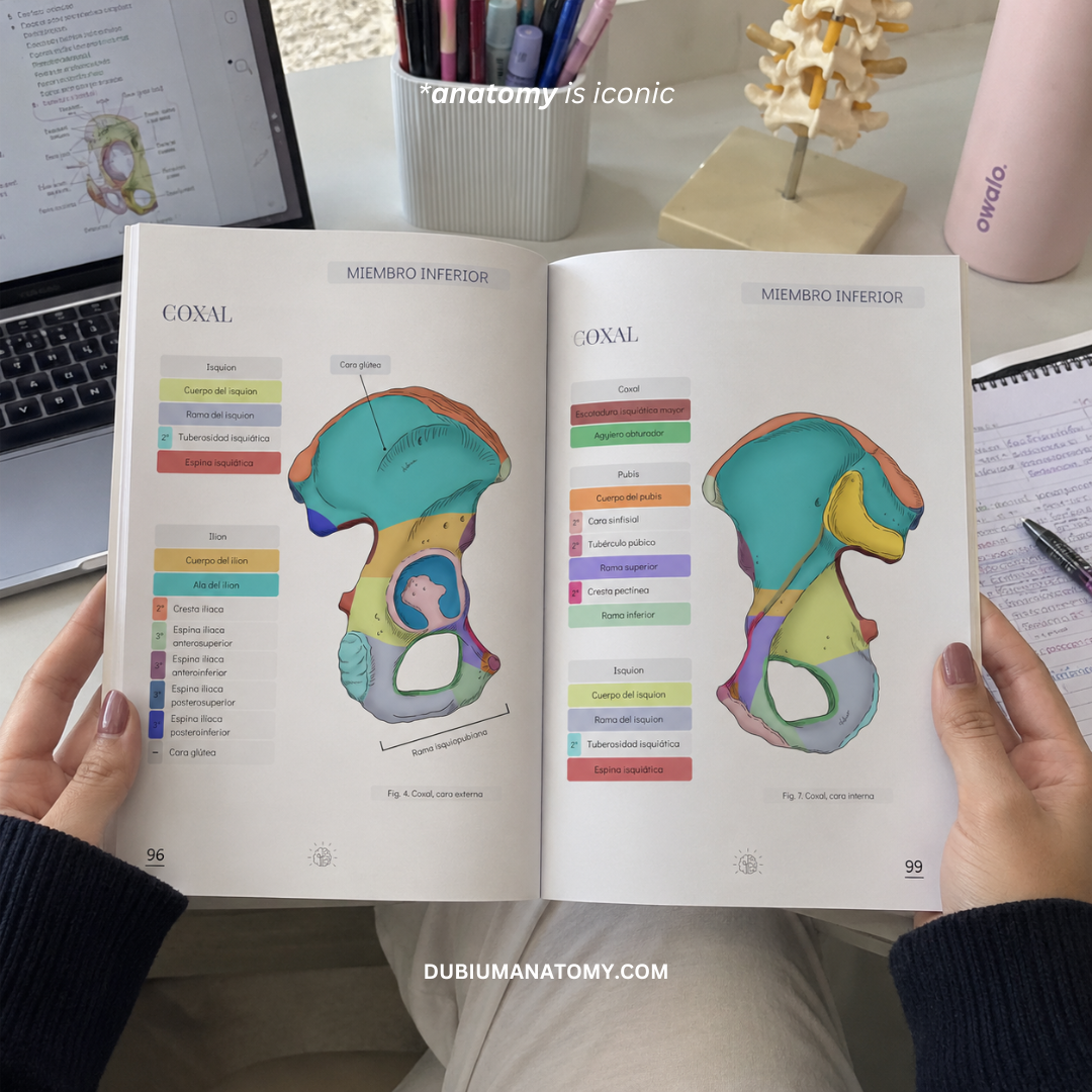 Libro de Anatomía del Sistema Óseo
