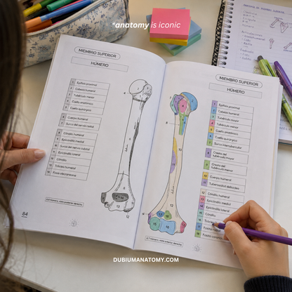 Libro Atlas Óseo Coloring Book