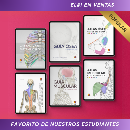 Kit de Anatomía