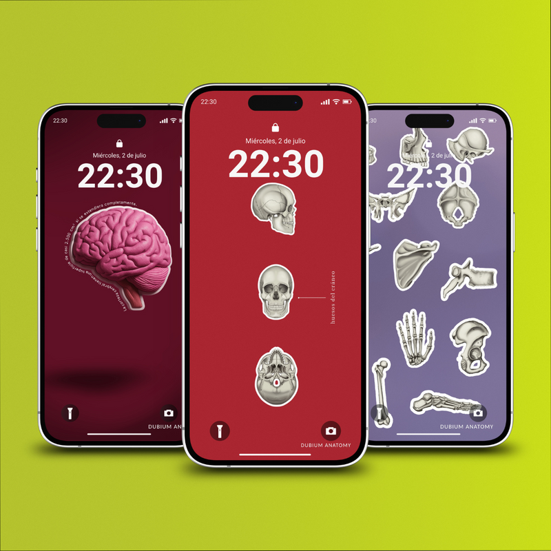 Anatomy Wallpaper Pack
