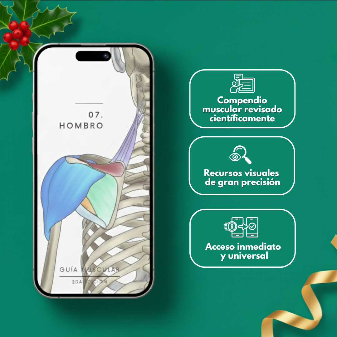 Guía Muscular