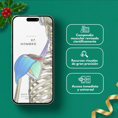 Guía Muscular