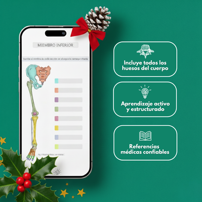 Anatomía del Sistema Óseo