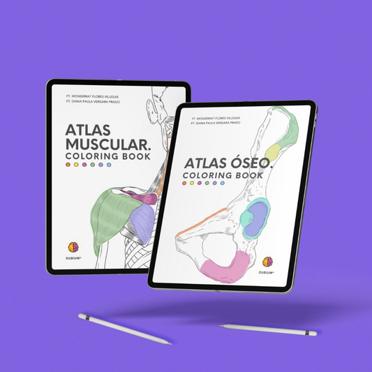 Kit Atlas