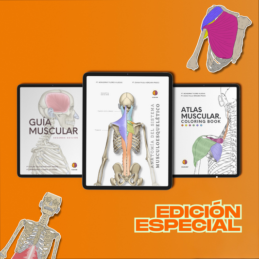 Kit Experto en Músculos