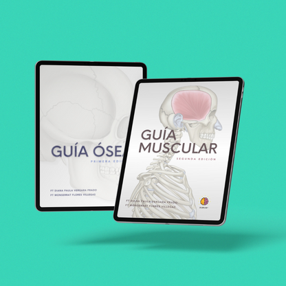 Anatomy Dúo