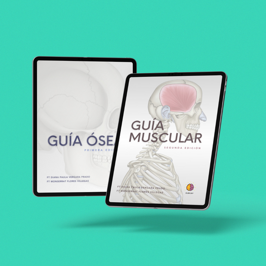 Anatomy Dúo