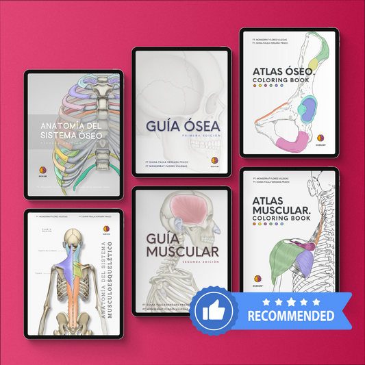 Kit de Anatomía