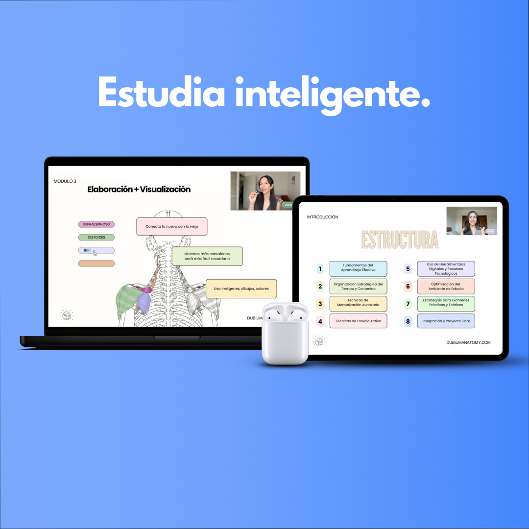 Estrategias de Estudio en Anatomía