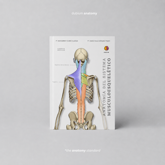 Libro de Anatomía del Sistema Musculoesquelético