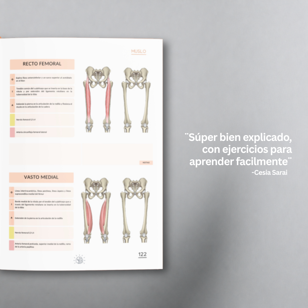 Libro de Anatomía del Sistema Musculoesquelético