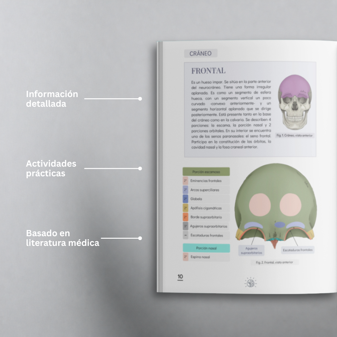 Libro de Anatomía del Sistema Óseo