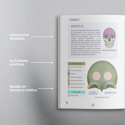 Libro de Anatomía del Sistema Óseo