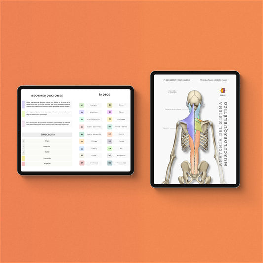 Anatomía del Sistema Musculoesquelético