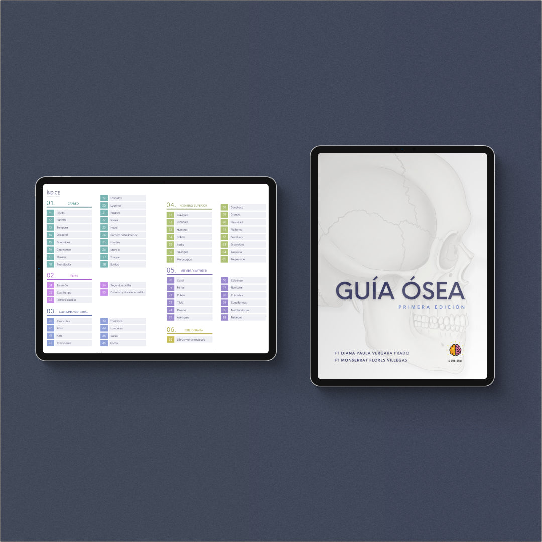 Guía Ósea