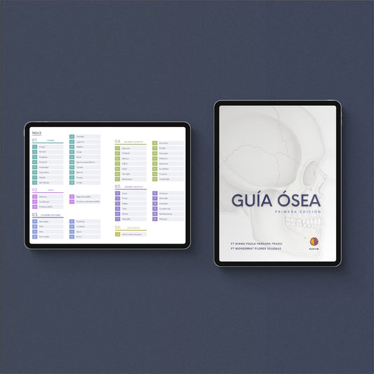 Guía Ósea