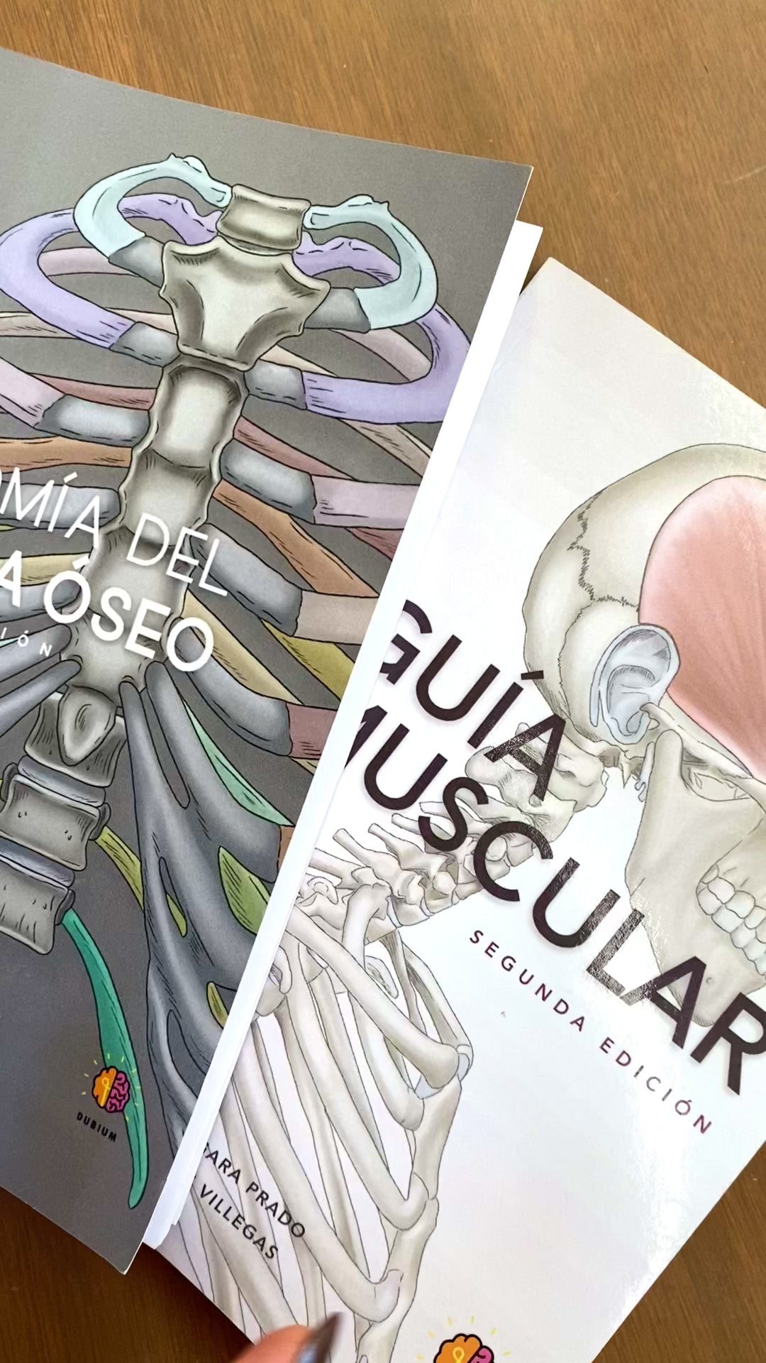 Manuales de Anatomía, Manual de Anatomía del Sistema Óseo, Guía Muscular