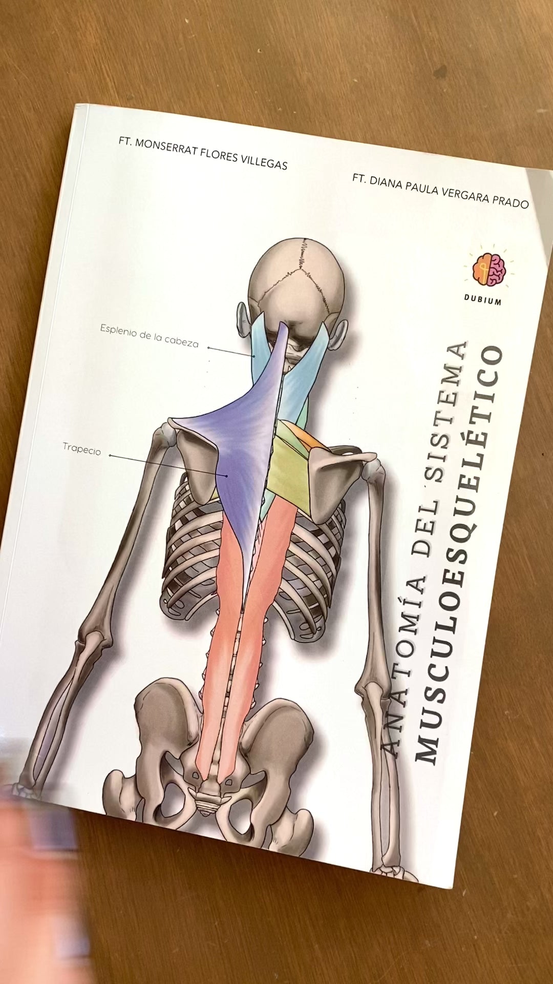 Manual de Anatomía, Manual de Anatomía del Sistema Musculoesquelético