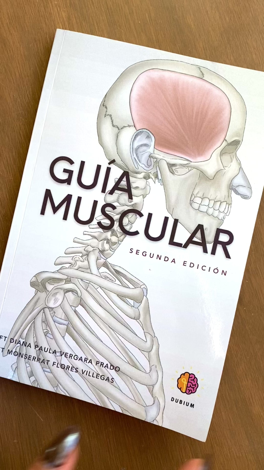 Manual de Anatomía, Guía Muscular